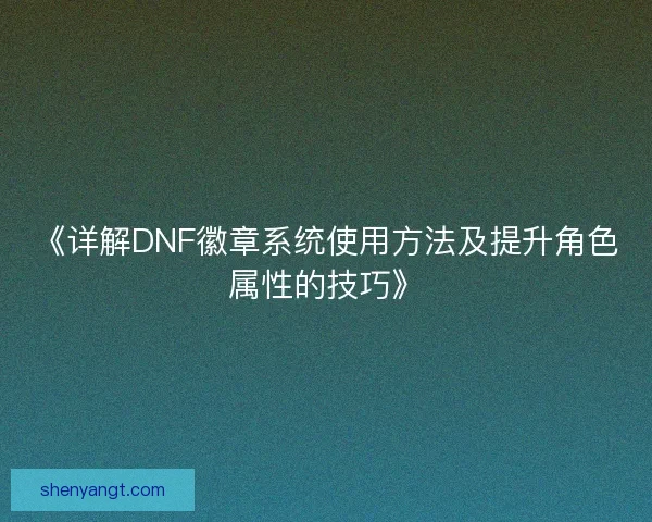 《详解DNF徽章系统使用方法及提升角色属性的技巧》