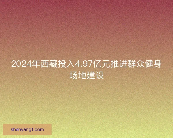 2024年西藏投入4.97亿元推进群众健身场地建设