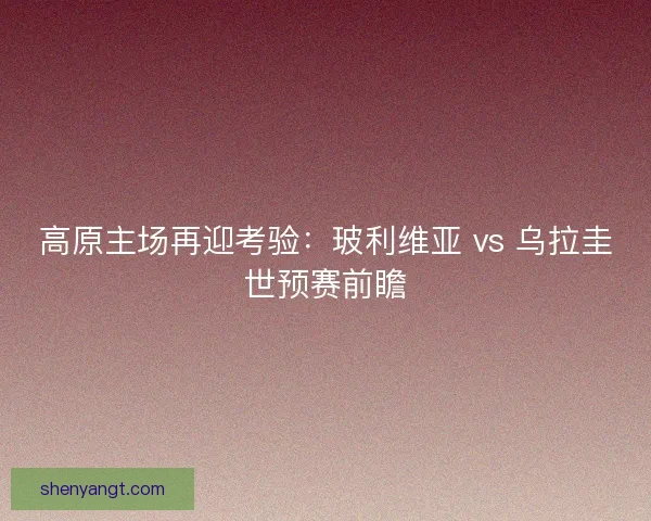高原主场再迎考验：玻利维亚 vs 乌拉圭世预赛前瞻