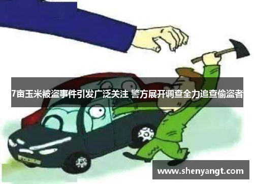 7亩玉米被盗事件引发广泛关注 警方展开调查全力追查偷盗者