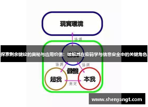 探索剩余键纹的奥秘与应用价值：破解其在密码学与信息安全中的关键角色