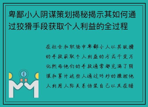 卑鄙小人阴谋策划揭秘揭示其如何通过狡猾手段获取个人利益的全过程
